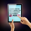 Looking-for-the-best-company-for-iPad-application-development-
